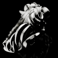 Noire Ring