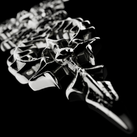 Hydra Necklace - Fashion Jewelry by Yordy.
