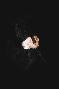 Guardian Ring - Fashion Jewelry by Yordy.