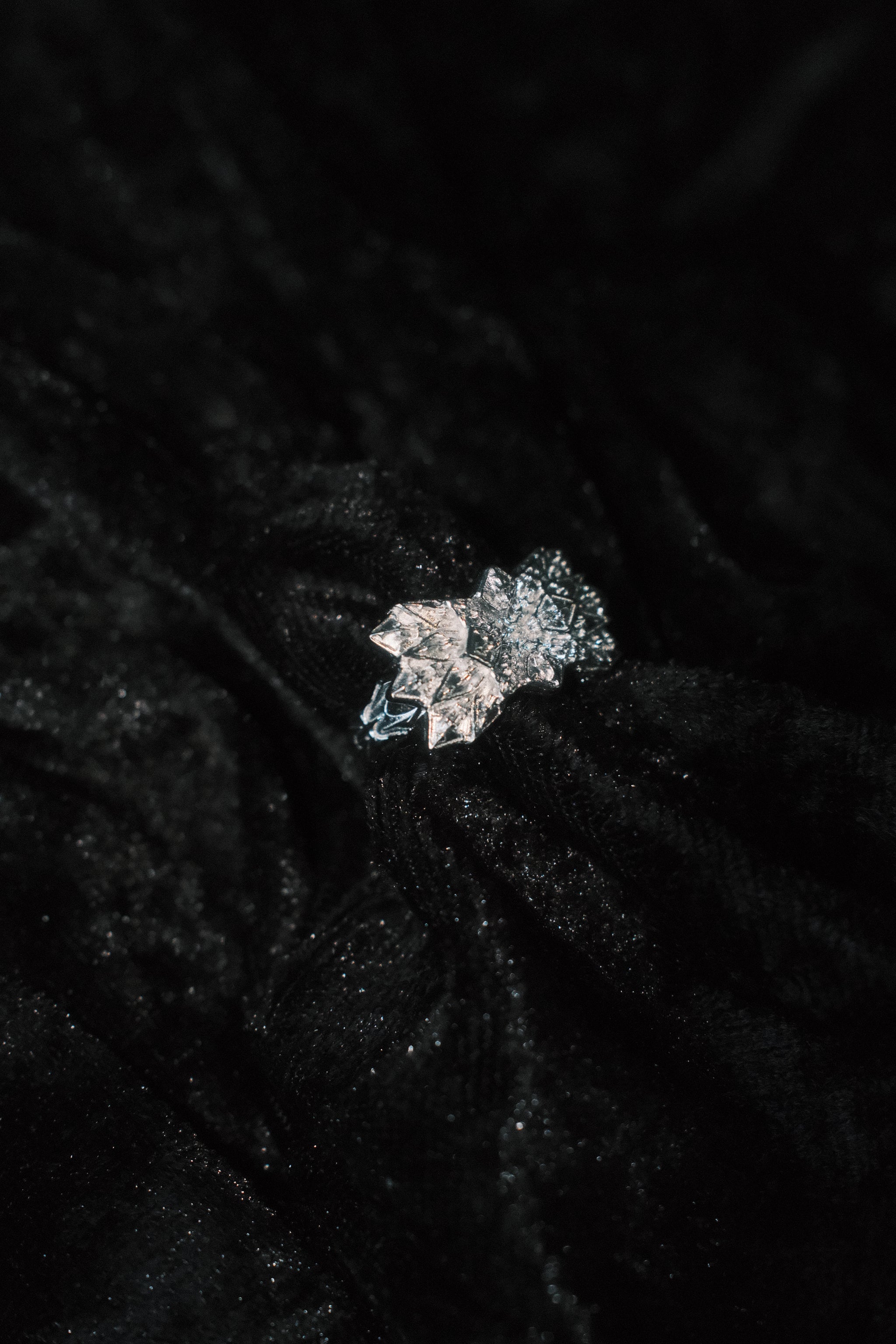 Kiku Ring