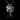 Relequia Necklace - Fashion Jewelry by Yordy.